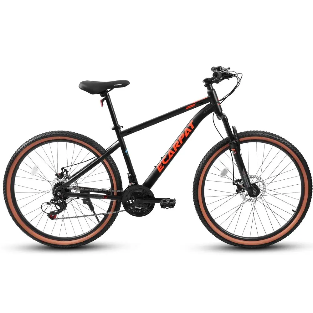 A24301 Gençler için 24 İnç Dağ - Carbon Bike Frame incelemesi ve fiyatı