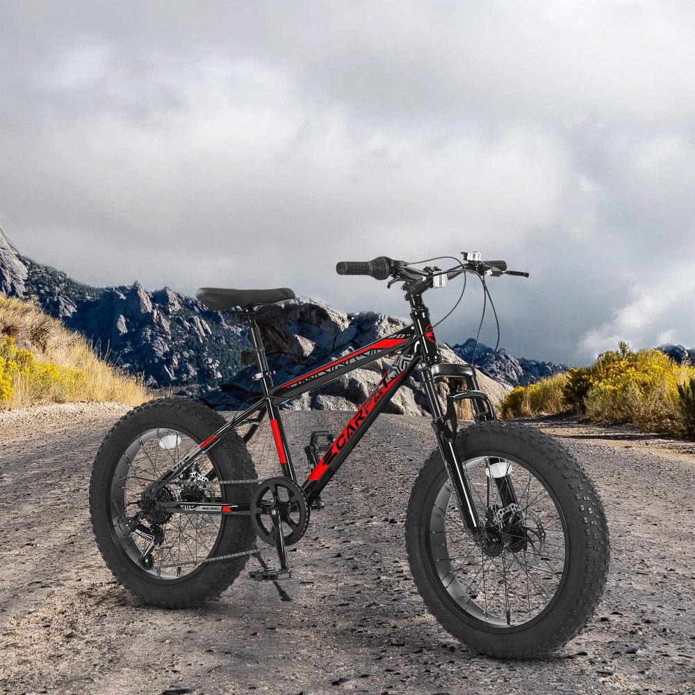 20 İnç Çocuk ve Gençler İçin D - Carbon Bike Frame incelemesi ve fiyatı